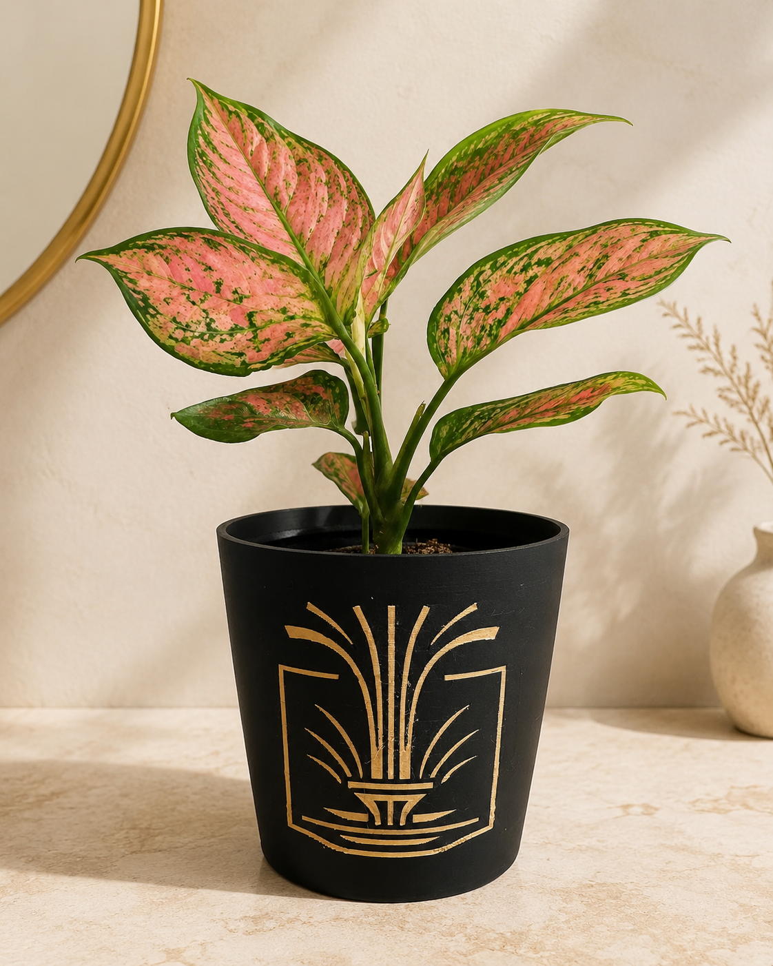 Cachepots