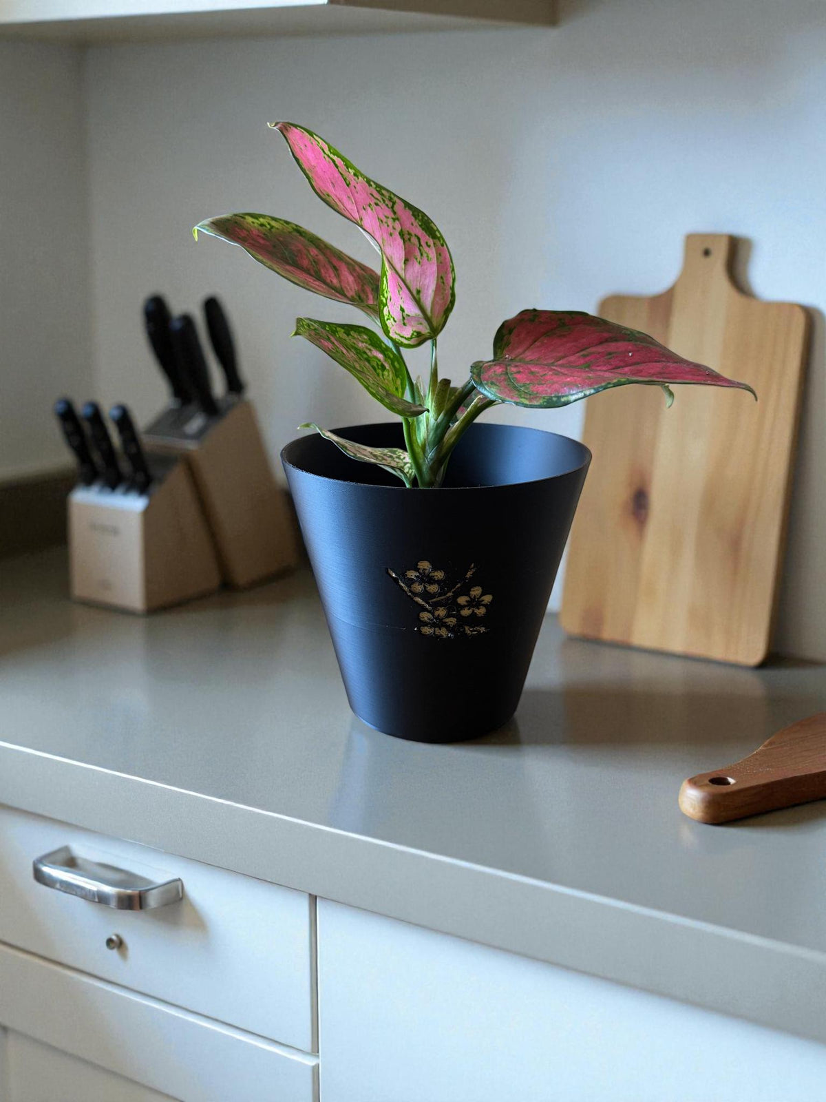Japanese Cherry Blossom Tapered Cachepot Planter, Elegant Tapered Plant Pot for Indoor Plants, Black Zen Asian Home Decor, Fits Nursery Pots