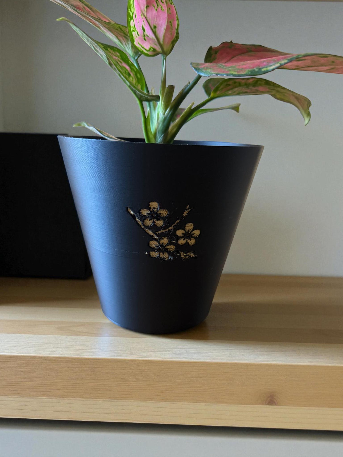 Japanese Cherry Blossom Tapered Cachepot Planter, Elegant Tapered Plant Pot for Indoor Plants, Black Zen Asian Home Decor, Fits Nursery Pots
