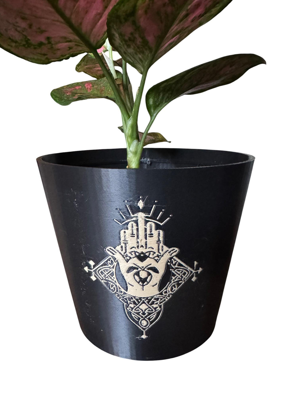 CELTIC CLADDAGH CACHEPOT, Irish Love Loyalty Friendship Symbol, Heritage Planter, Black and Gold Pot, Traditional Gaelic Home Gift, 1571