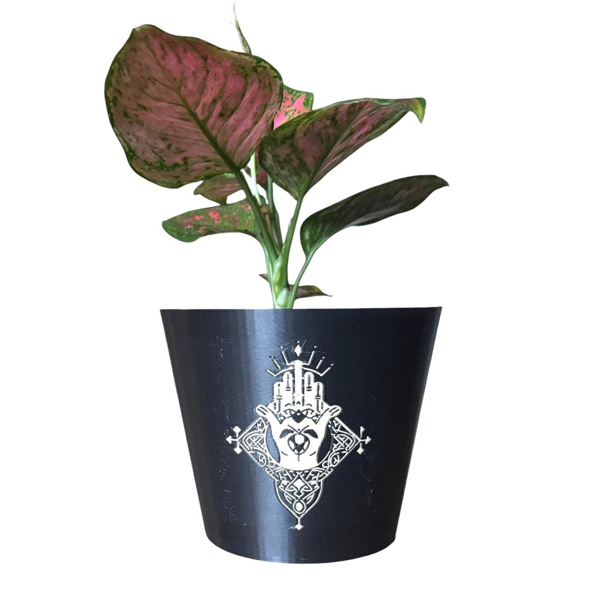 CELTIC CLADDAGH CACHEPOT, Irish Love Loyalty Friendship Symbol, Heritage Planter, Black and Gold Pot, Traditional Gaelic Home Gift, 1571