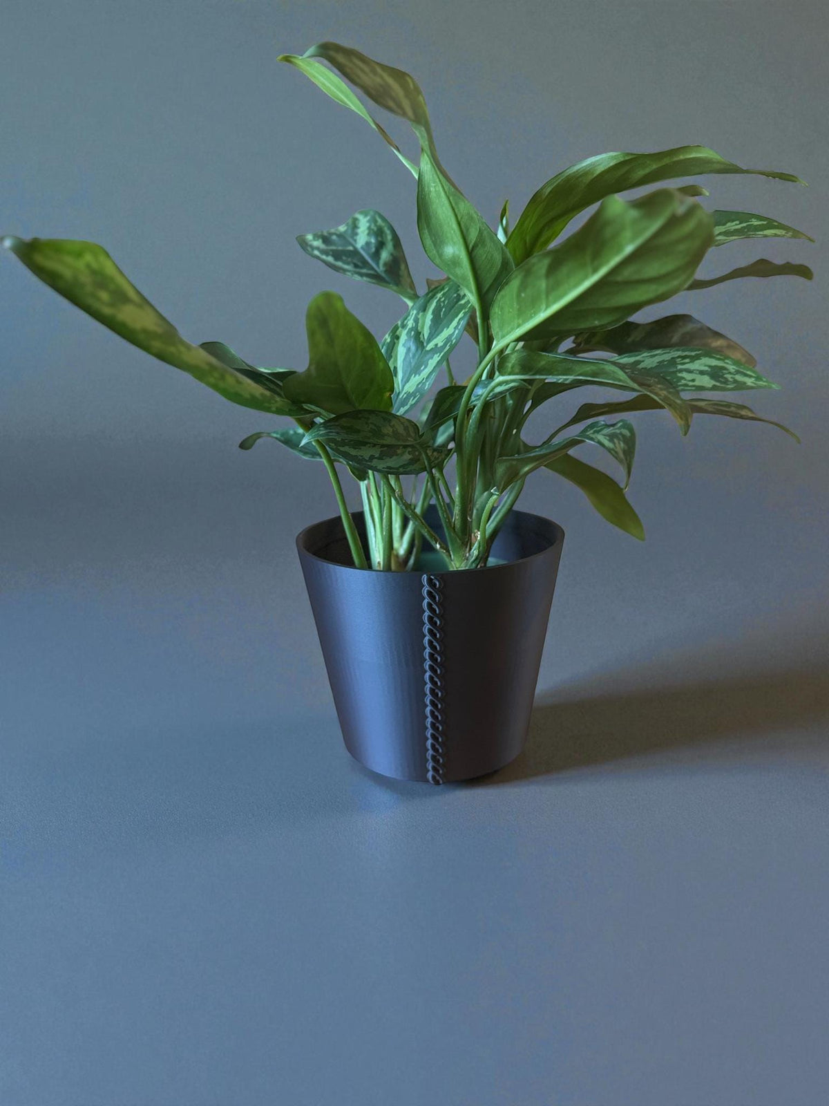 JAPANESE Cherry Blossom Planter - Elegant Black & Tan Cachepot with Sakura Design, Asian Home Decor, Indoor Plant Pot, Floral Holder