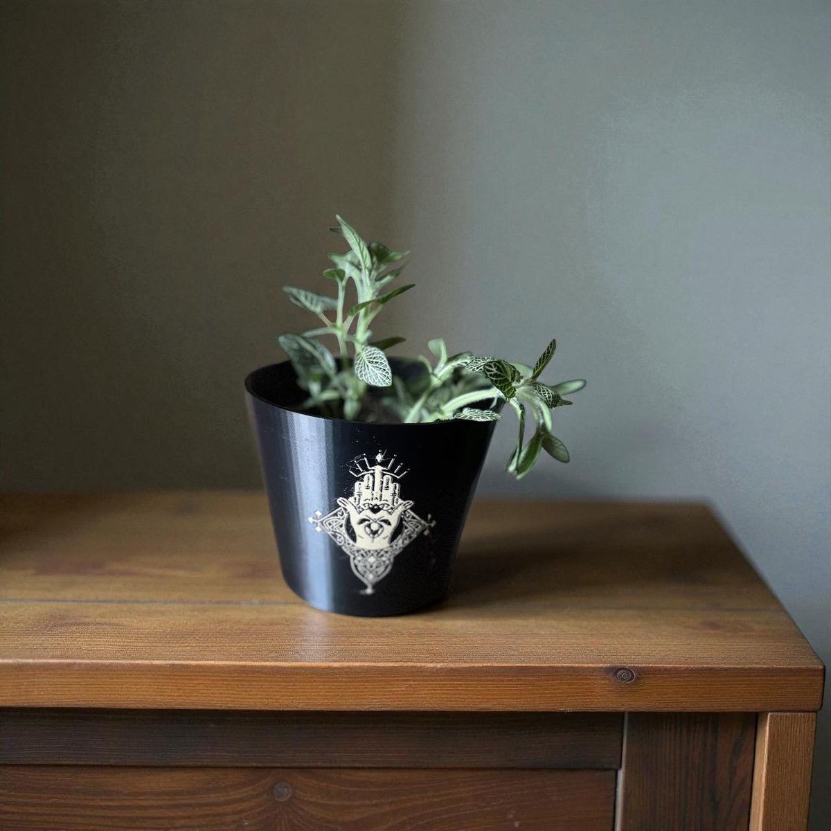 CELTIC CLADDAGH CACHEPOT, Irish Love Loyalty Friendship Symbol, Heritage Planter, Black and Gold Pot, Traditional Gaelic Home Gift, 1571