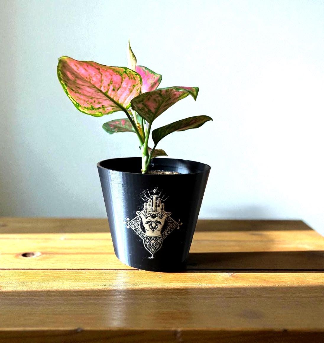 CELTIC CLADDAGH CACHEPOT, Irish Love Loyalty Friendship Symbol, Heritage Planter, Black and Gold Pot, Traditional Gaelic Home Gift, 1571