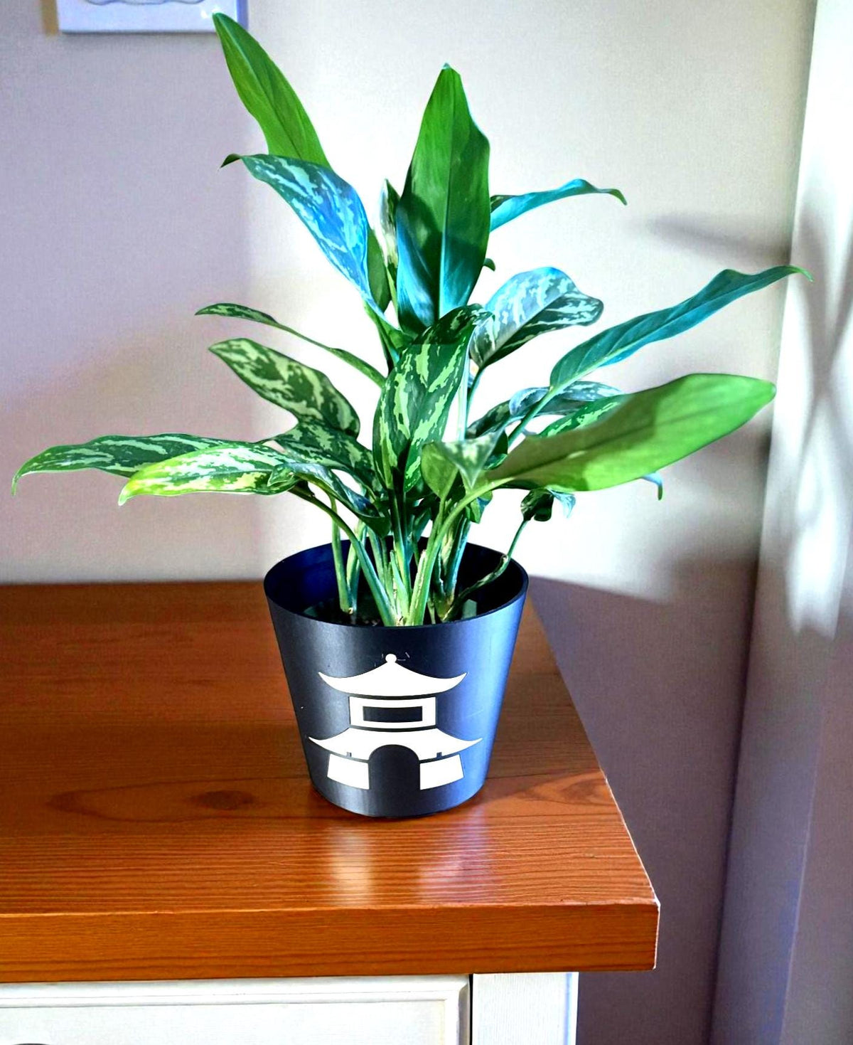 Japanese Pagoda Black Cachepot Planter  Small, Medium, or Large Indoor Pot for Zen Decor, Minimalist Asian Home Accent