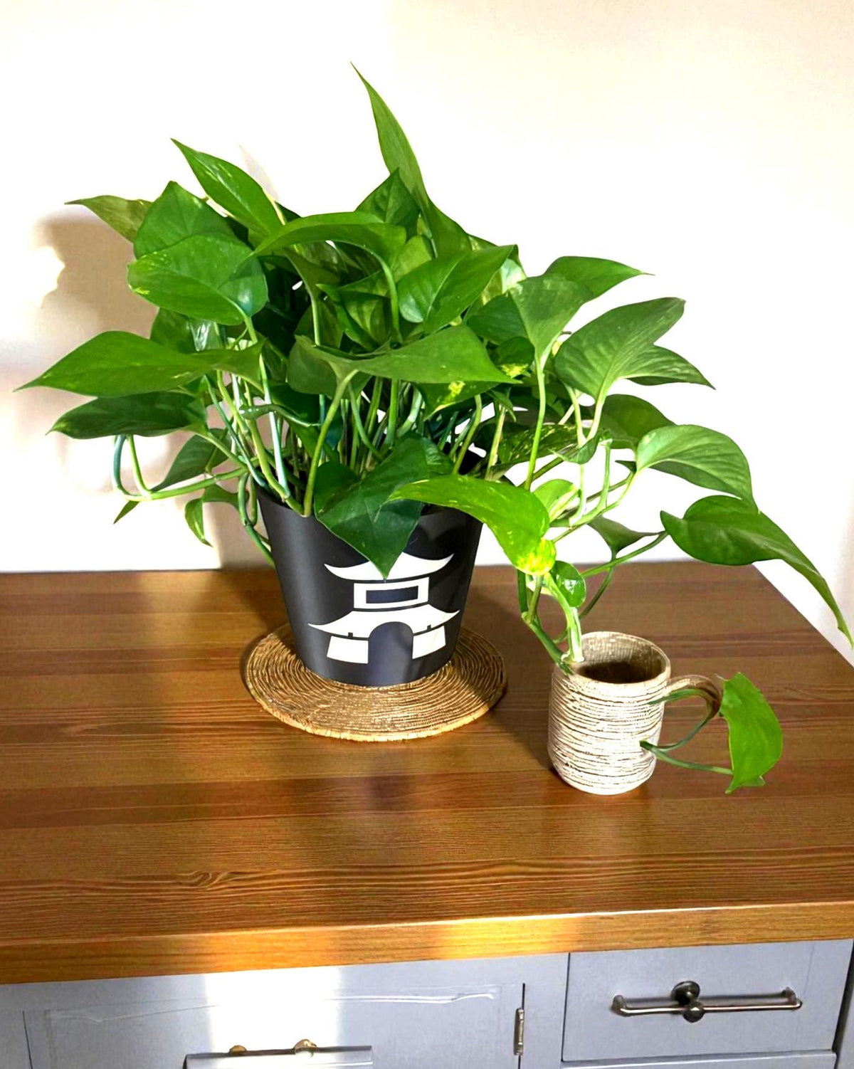 Japanese Pagoda Black Cachepot Planter  Small, Medium, or Large Indoor Pot for Zen Decor, Minimalist Asian Home Accent