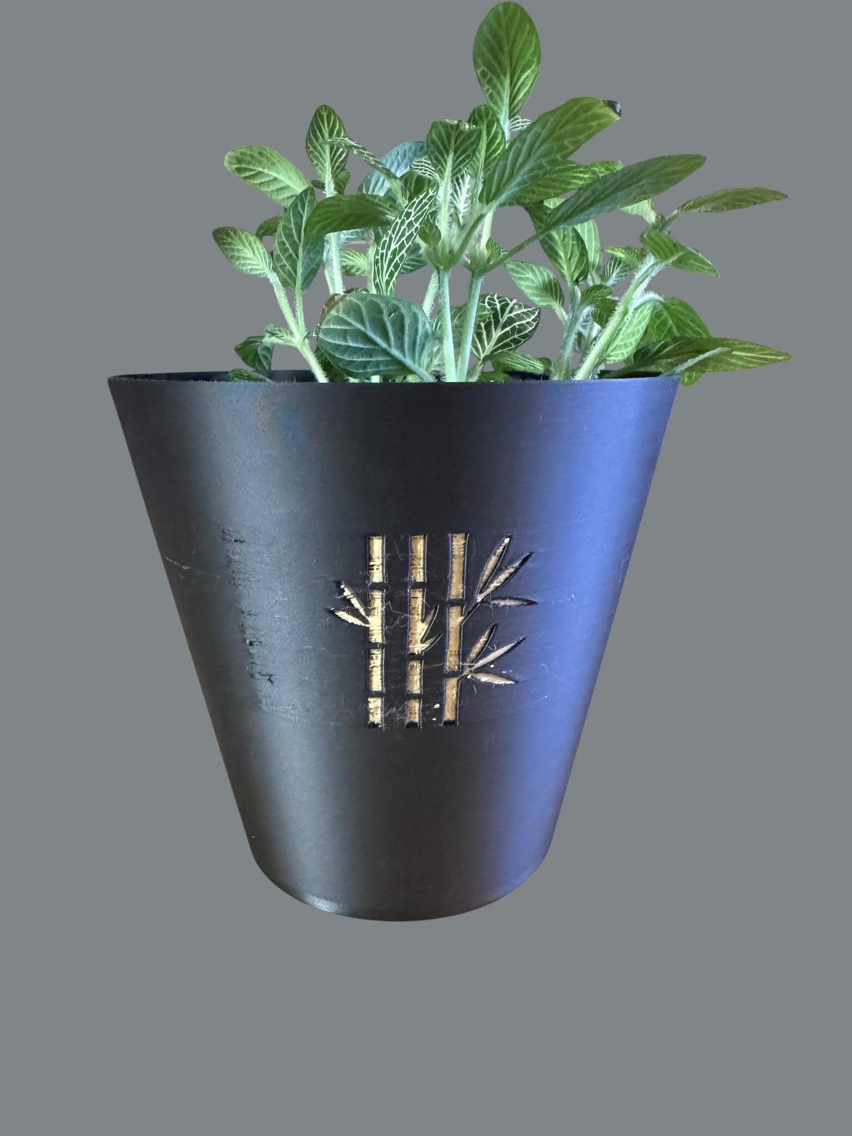Modern bamboo tapered cachepot planter  black gold zen indoor plant pot for desk shelf decor