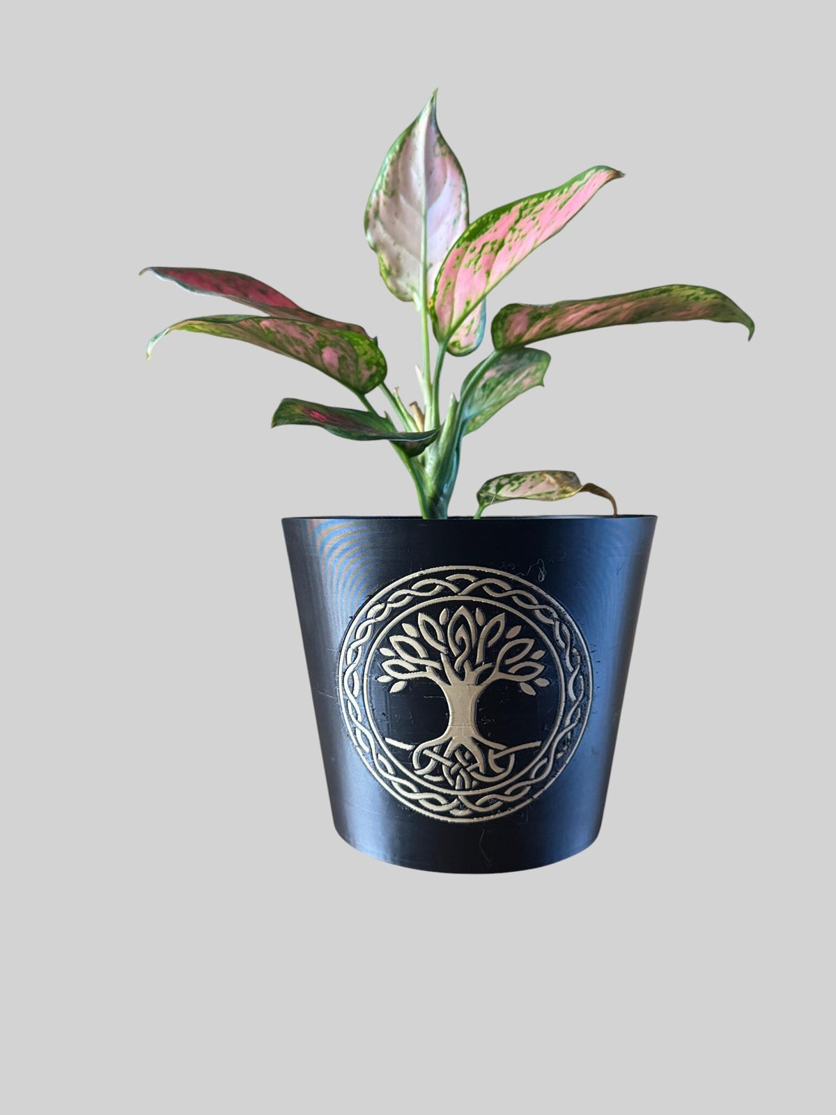 CELTIC TREE Of LIFE Cachepot, Sacred Grove Planter, Irish Family Roots Symbol, Spiritual Nature Decor, Black & Tan Pot, Indoor Garden Art