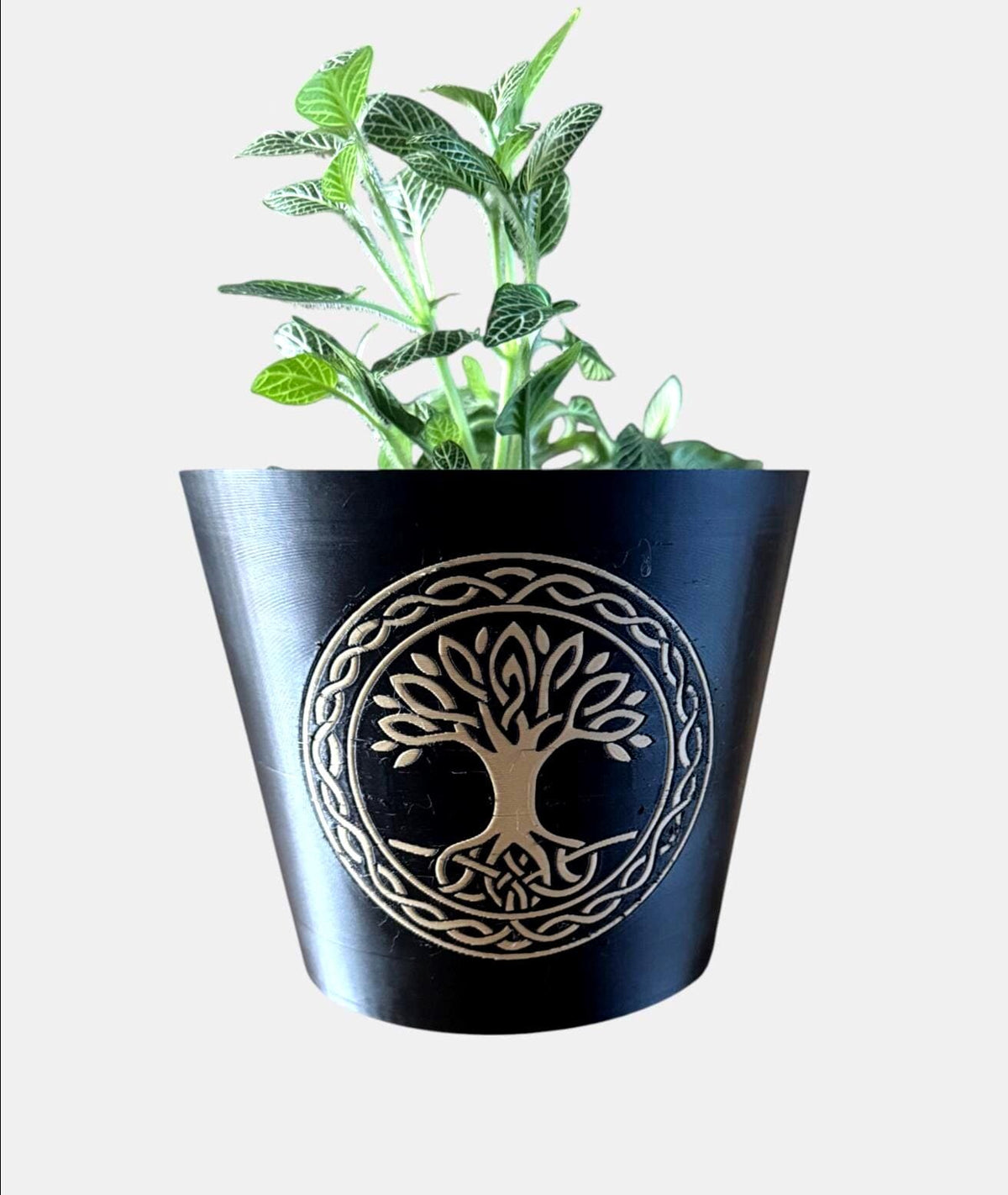 CELTIC TREE Of LIFE Cachepot, Sacred Grove Planter, Irish Family Roots Symbol, Spiritual Nature Decor, Black & Tan Pot, Indoor Garden Art