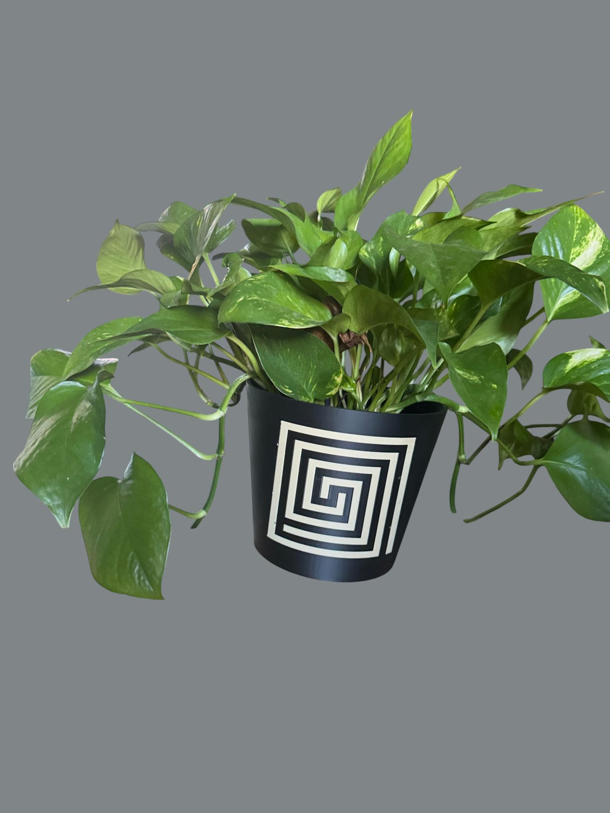MAYAN Labyrinth ART DECO Cachepot Cover, Geometric Planter Sleeve, Modern Black Beige Pot, Southwestern Home Decor, Housewarming Gift