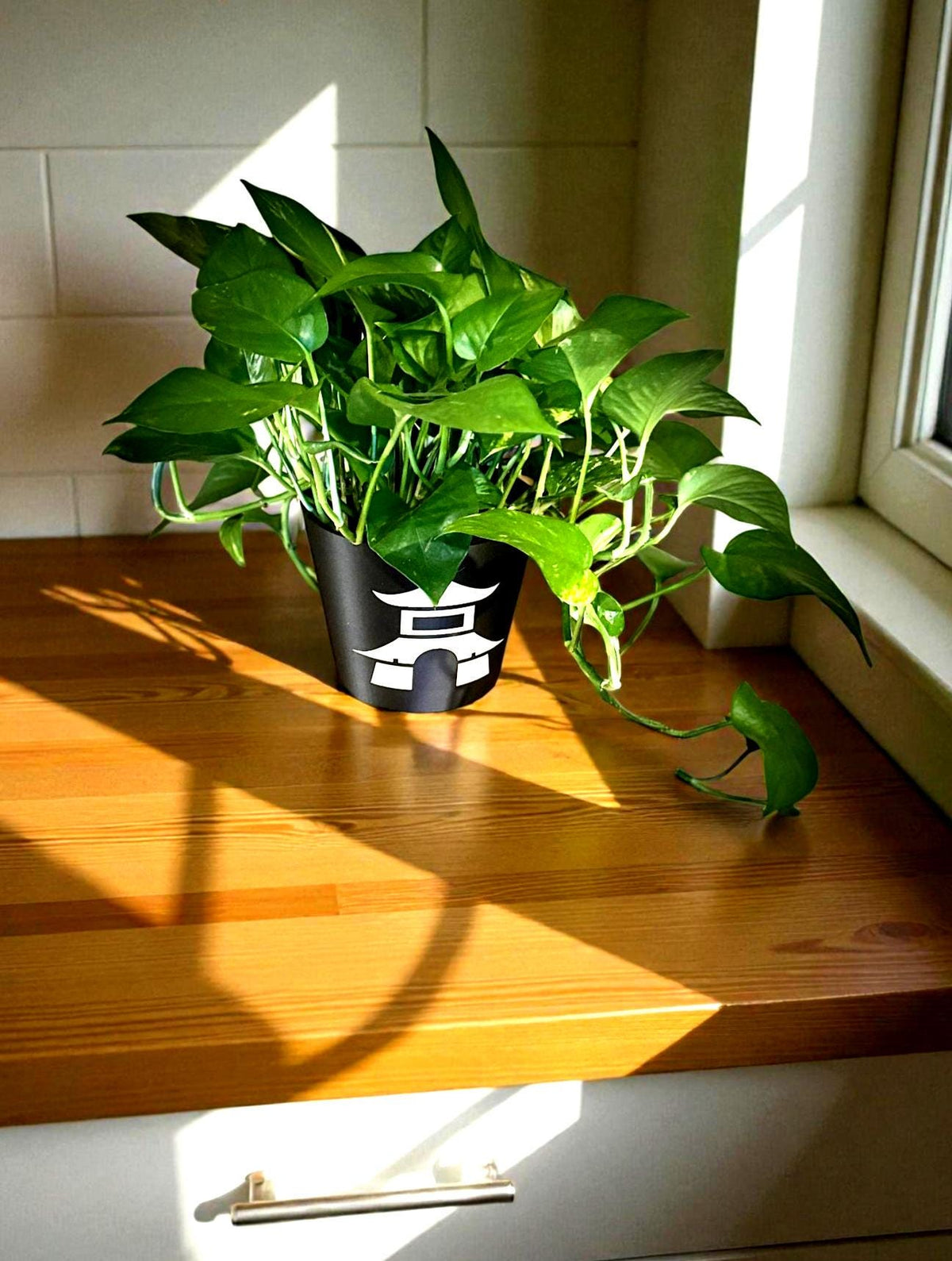 Japanese Pagoda Black Cachepot Planter  Small, Medium, or Large Indoor Pot for Zen Decor, Minimalist Asian Home Accent