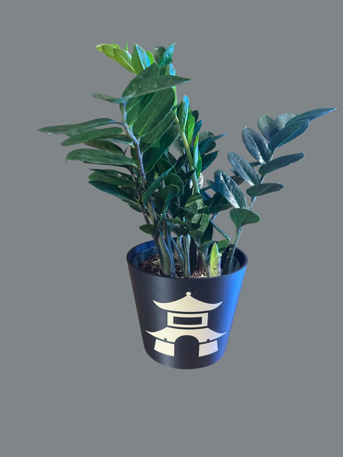 Japanese Pagoda Black Cachepot Planter  Small, Medium, or Large Indoor Pot for Zen Decor, Minimalist Asian Home Accent