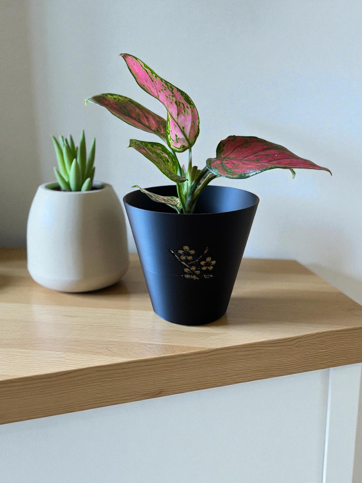 Japanese Cherry Blossom Tapered Cachepot Planter, Elegant Tapered Plant Pot for Indoor Plants, Black Zen Asian Home Decor, Fits Nursery Pots