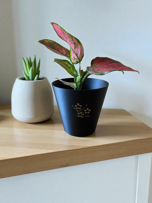 Japanese Cherry Blossom Tapered Cachepot Planter, Elegant Tapered Plant Pot for Indoor Plants, Black Zen Asian Home Decor, Fits Nursery Pots