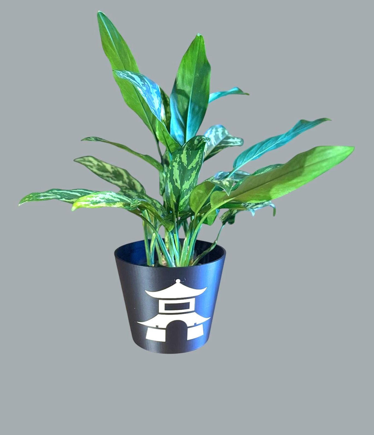 Japanese Pagoda Black Cachepot Planter  Small, Medium, or Large Indoor Pot for Zen Decor, Minimalist Asian Home Accent