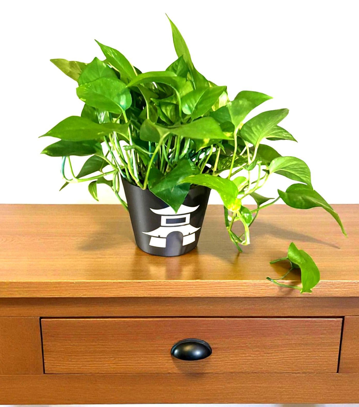 Japanese Pagoda Black Cachepot Planter  Small, Medium, or Large Indoor Pot for Zen Decor, Minimalist Asian Home Accent