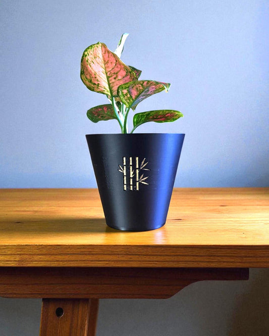 Modern bamboo tapered cachepot planter  black gold zen indoor plant pot for desk shelf decor